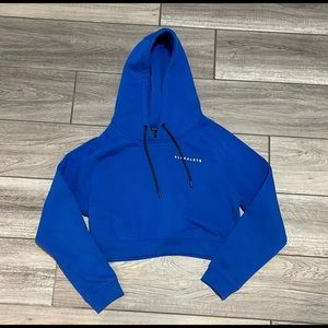 Blue alphalete crop sweater